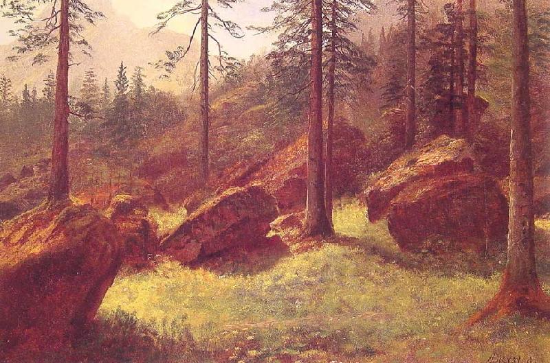 Albert Bierstadt Wooded Landscape Sweden oil painting art